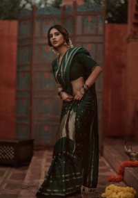 nabha natesh_teluguvox 5